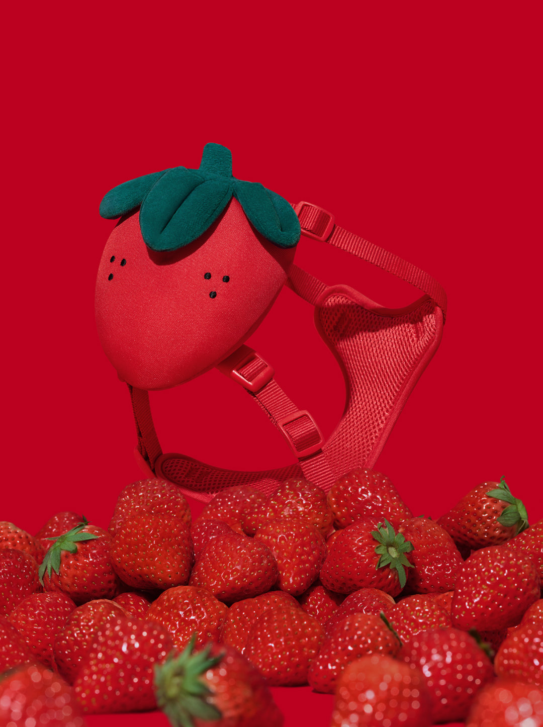 Strawberry Pet Backpack, Harness & Leash Set