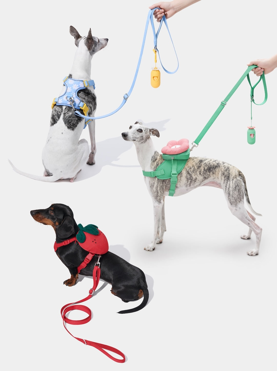 VETRESKA Harness & Leash Set Bundle – The Bloom & Berry Kit