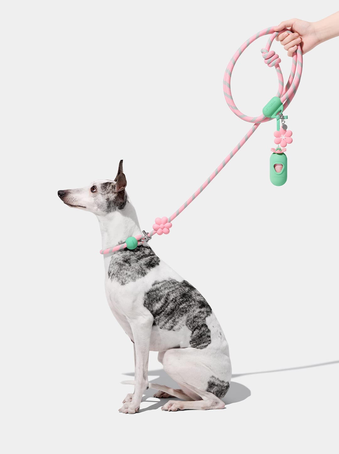 Connect 3 in 1 Walk Kit - Flora (Hands-Free Rope Leash, Hands-Free Poop Bag Clip, Dipsenser & Poop Bags)