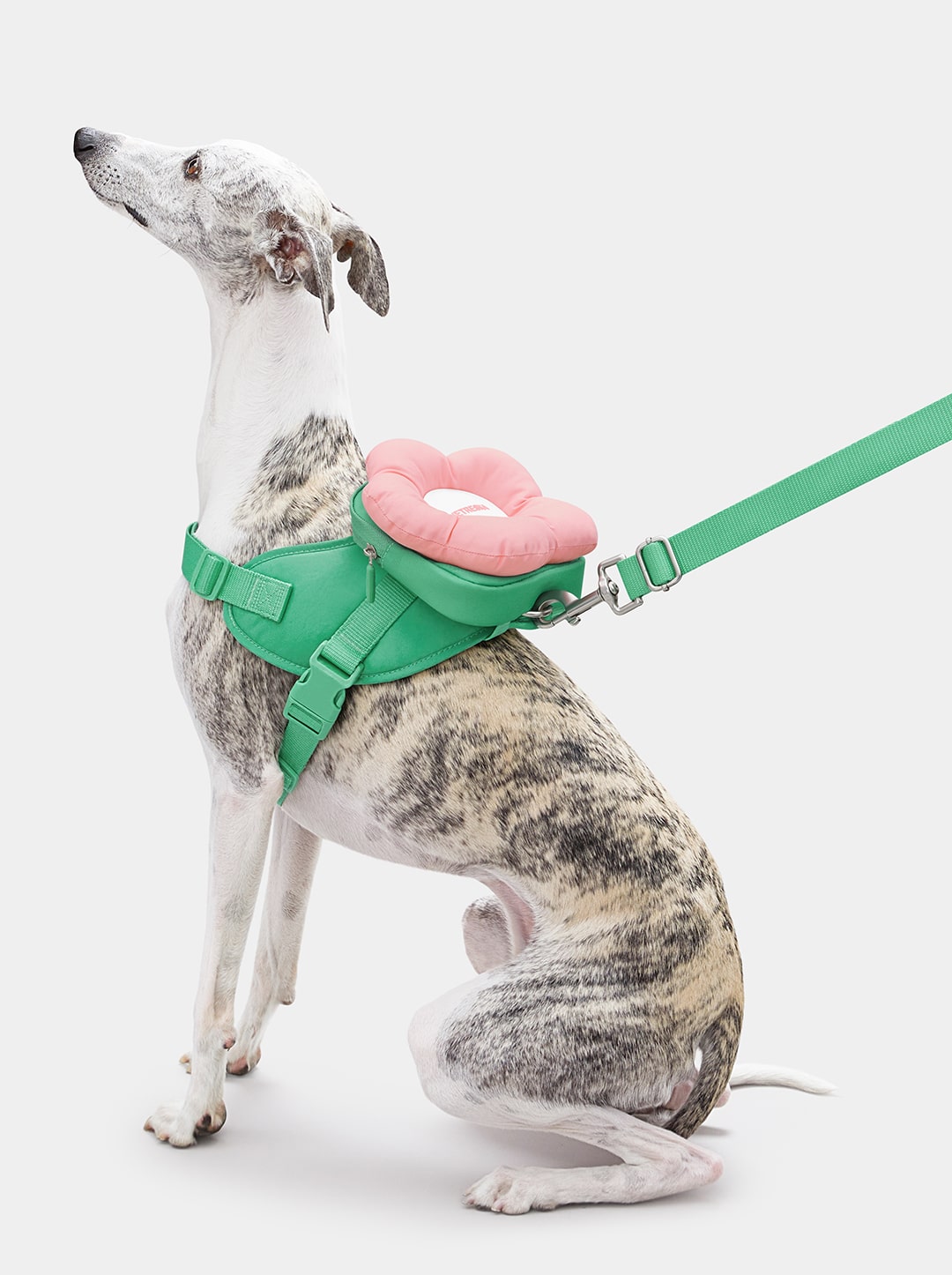 Shop VETRESKA Flora Pet Harness Backpack in Set - Main Image