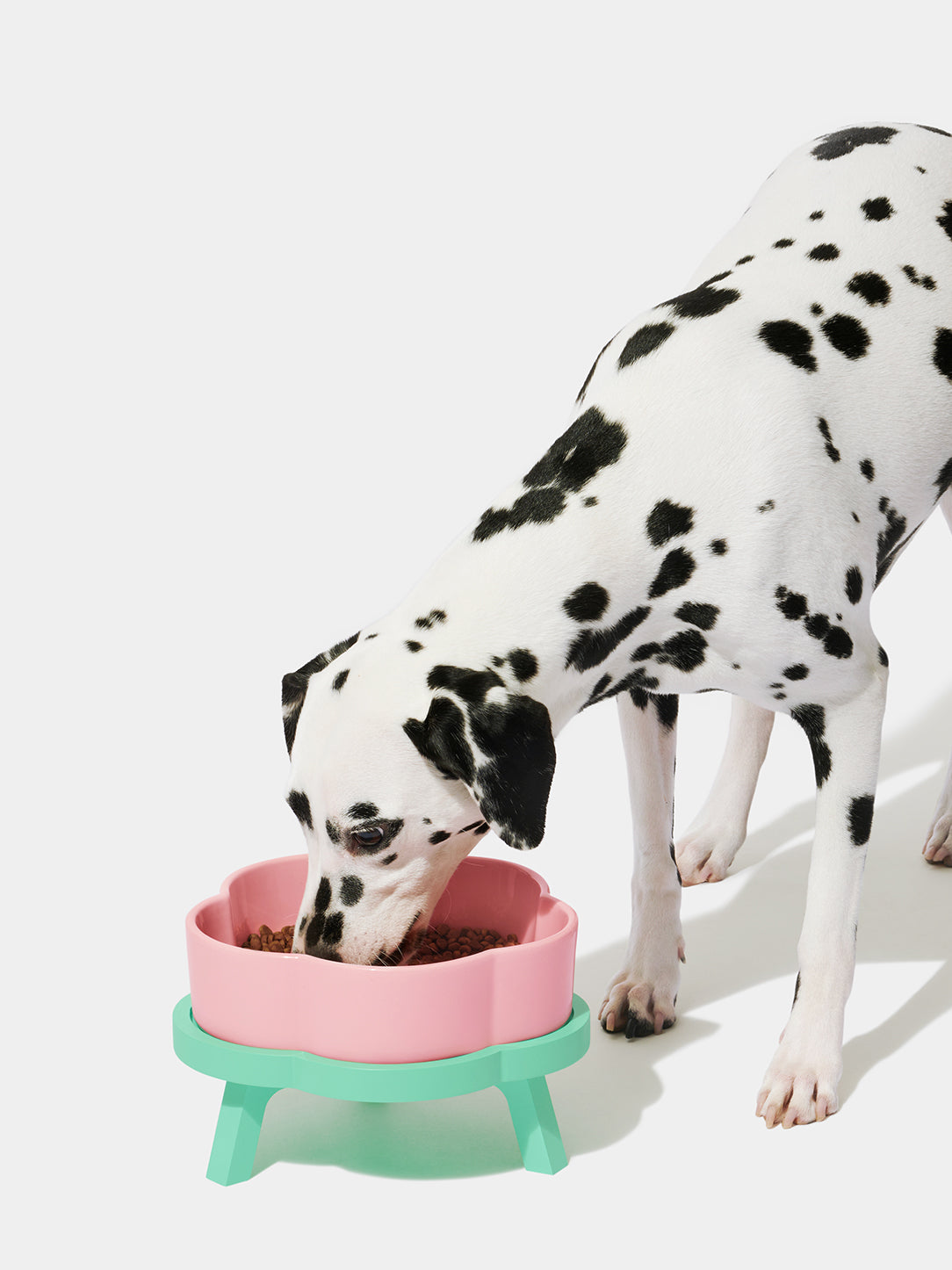VETRESKA Elevated Dog Bowl Raised Ceramic Cat Dog Bowls Large  Breed,Non-Slip Cat Bowl Dog Food/Water Bowl Dog Feeding Station Dishes for  Medium Small Dogs with Dog Bowl Stand, Medium - Yahoo Shopping