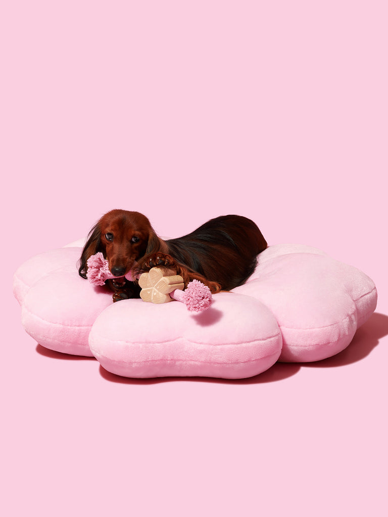 Cherry Blossom Pet Bed