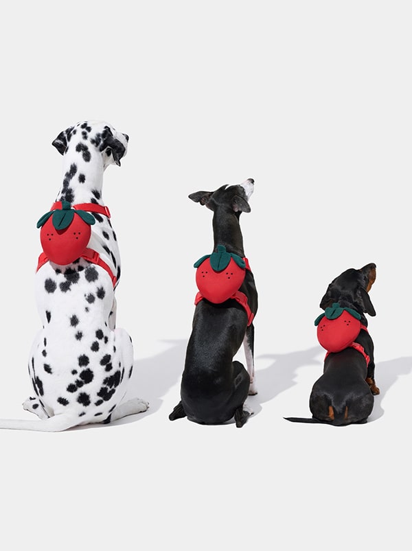 VETRESKA Strawberry Pet Backpack, Harness & Leash Set