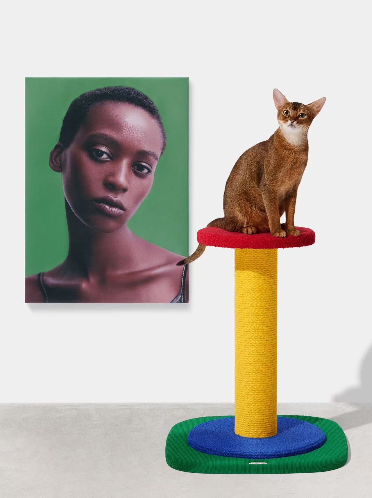 Chroma Cat Scratching Post Simple Post