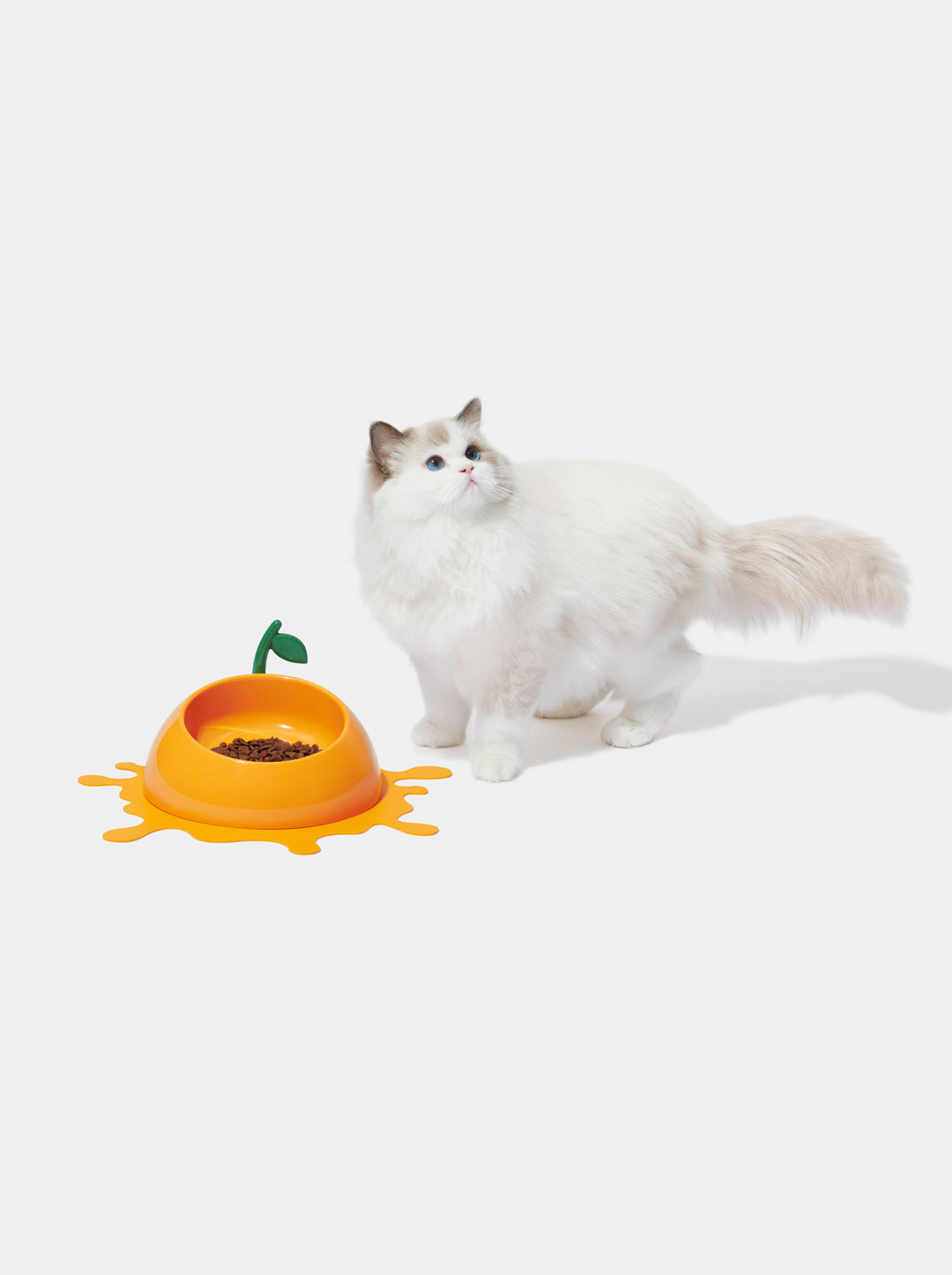 Juicy Tangerine Pet Bowl, Spoon & Mat Set