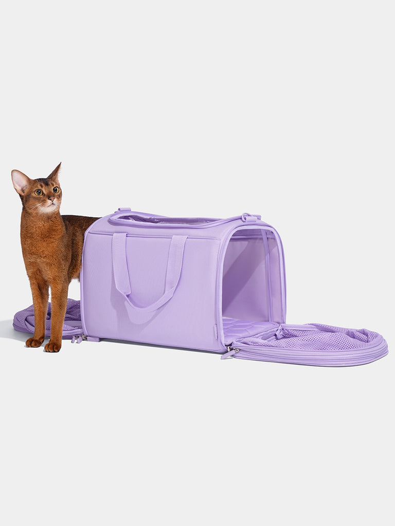 Violet Pet Carrier