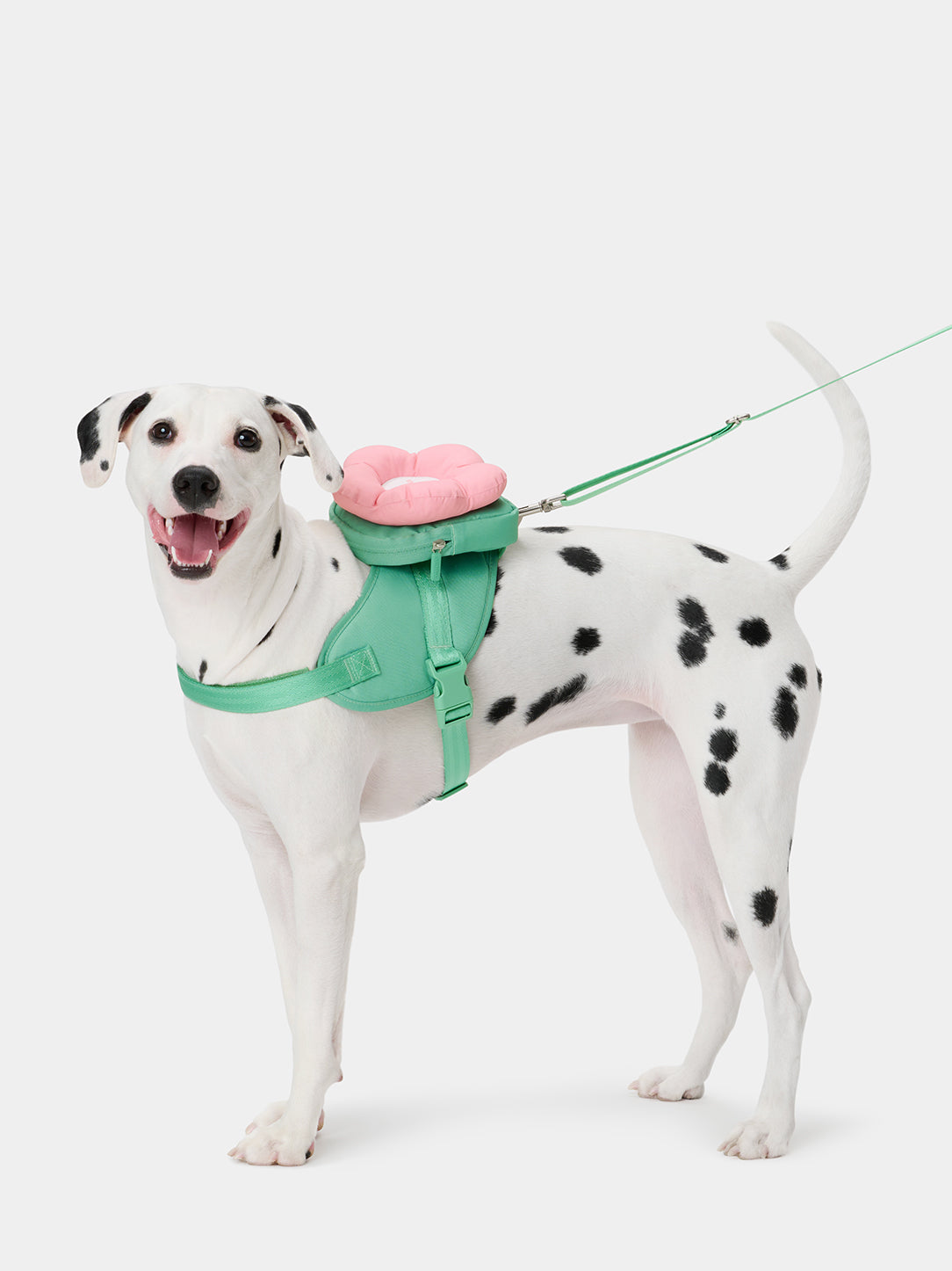 Flora Pet Walk Kit