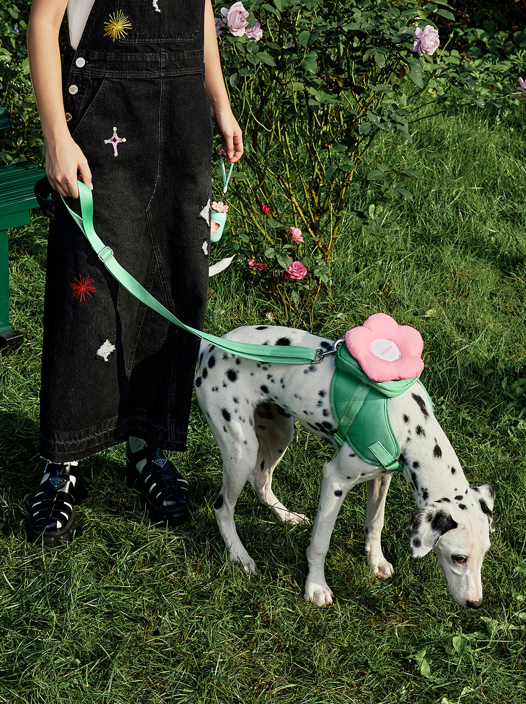 Flora Pet Walk Kit