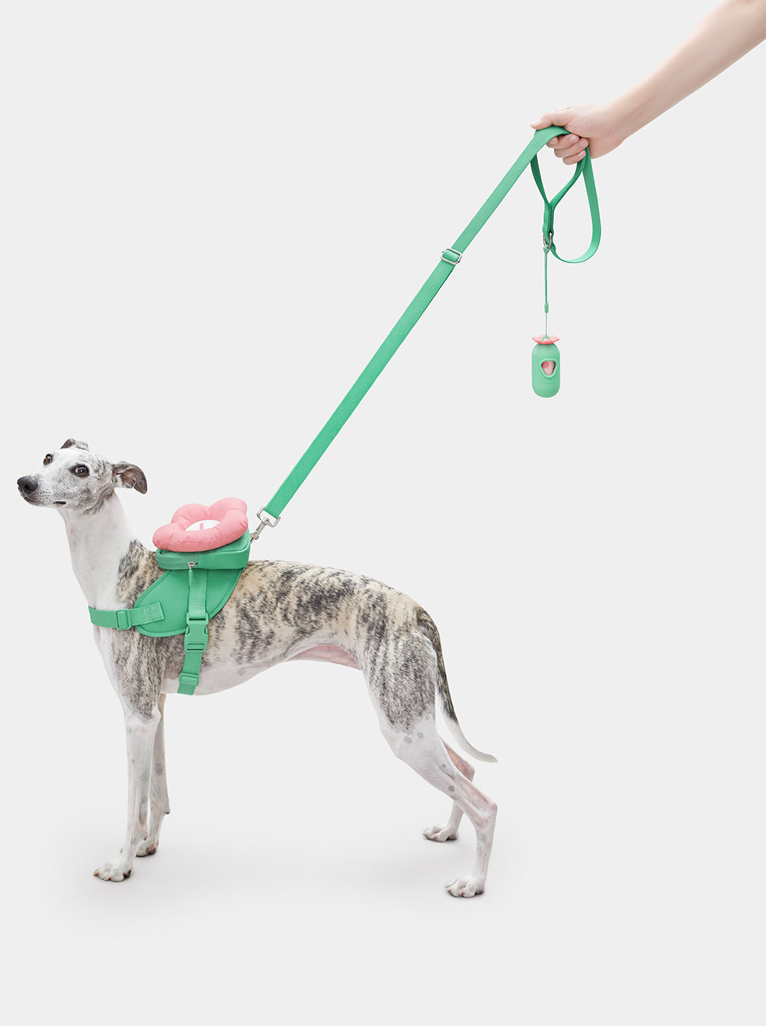 Shop VETRESKA | Flora Pet Walk Kit (Backpack 3 in 1)