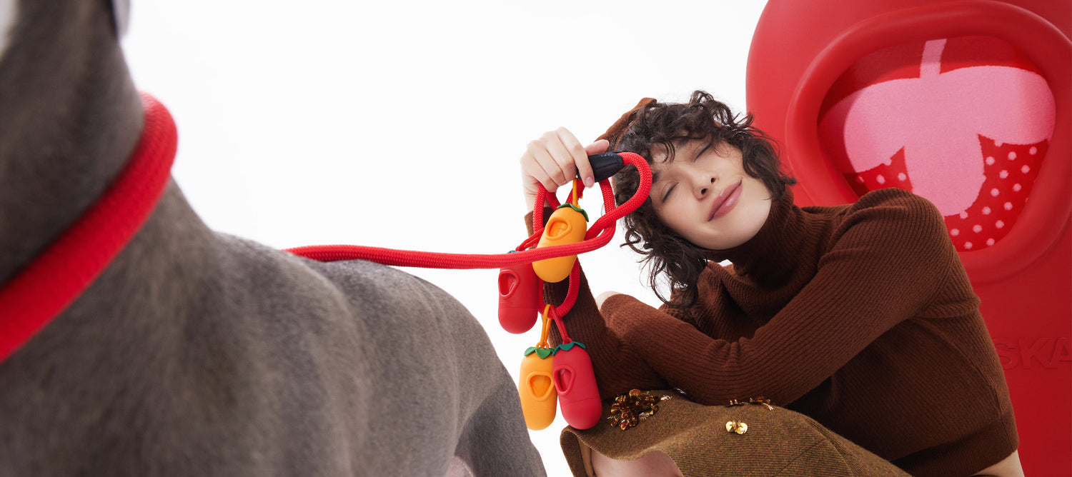 VETRESKA Pet POOP BAGS & DISPENSER