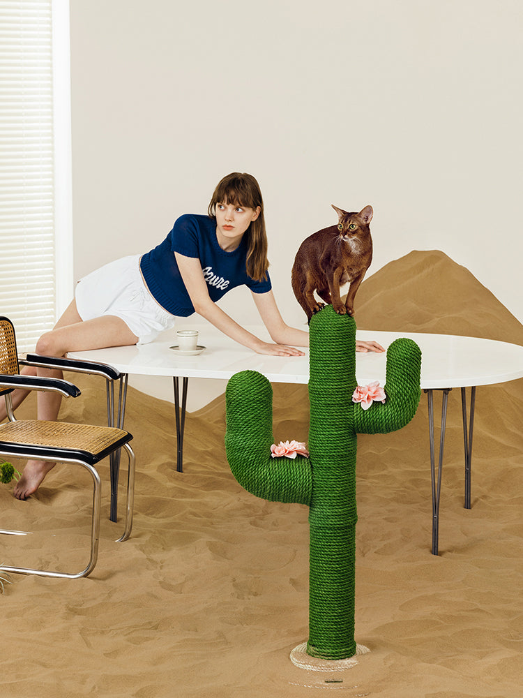 VETRESKA Pet OASIS CACTUS