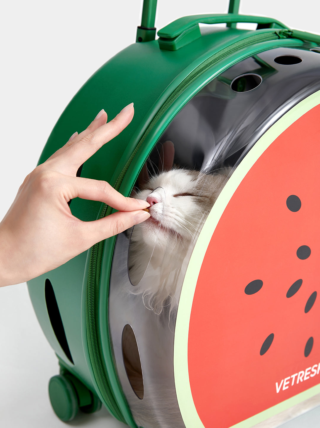 Bubble Pet Carrier - Green