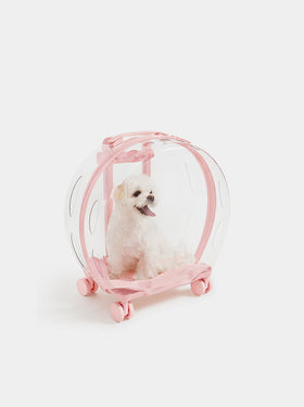 Bubble Pet Carrier