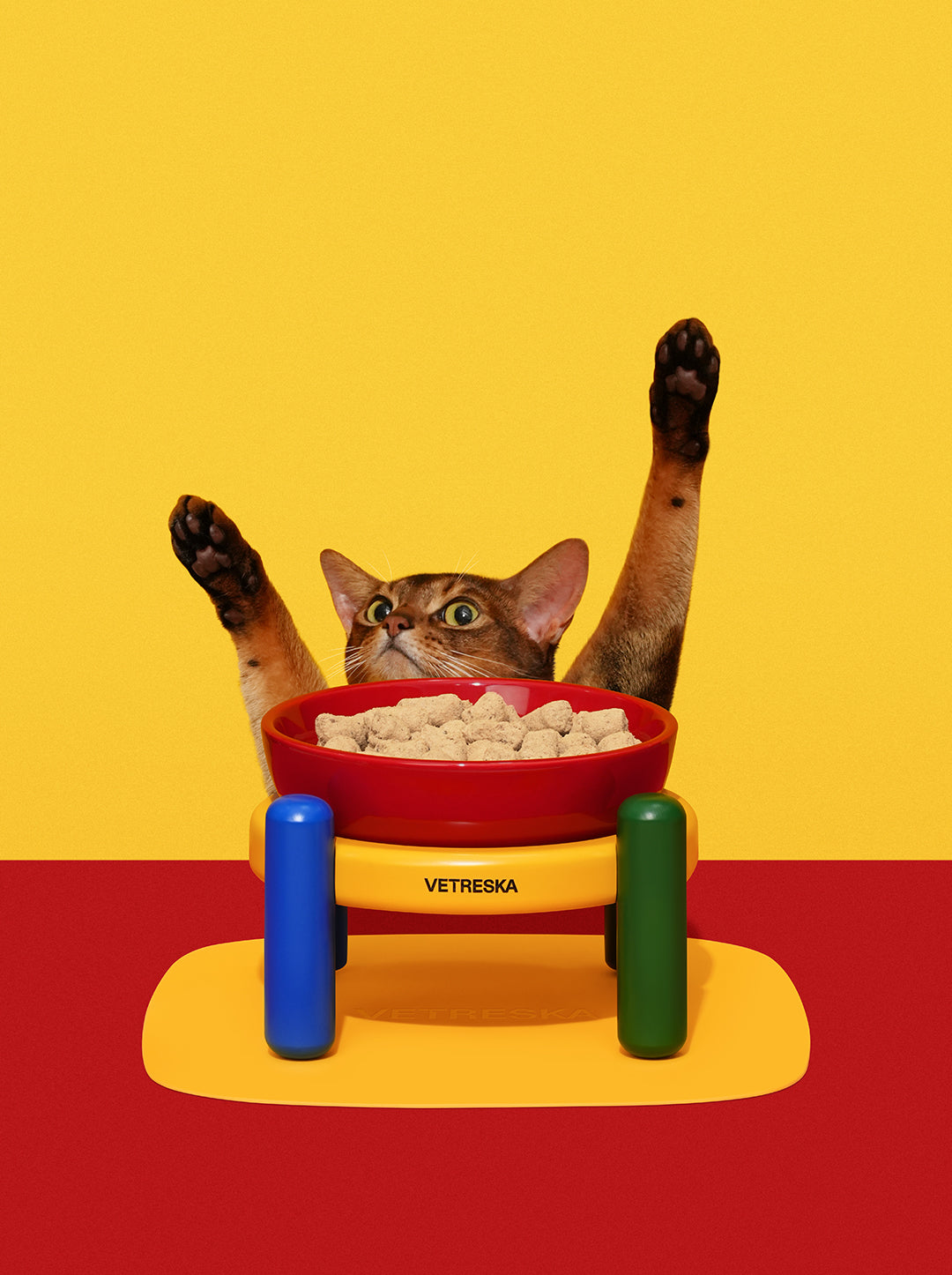 Chroma Ceramic Pet Bowl & Mat Set