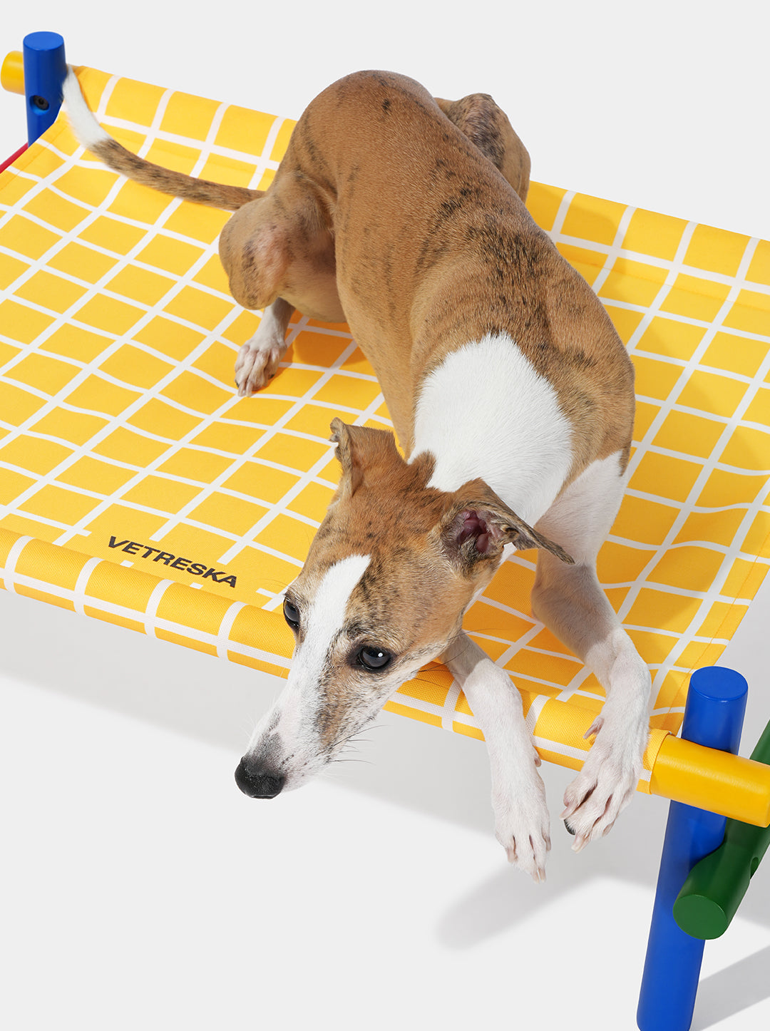Chroma Pet Bed