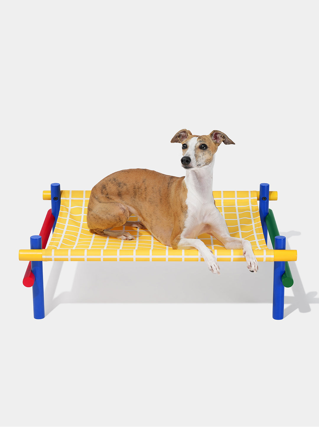 Chroma Pet Bed