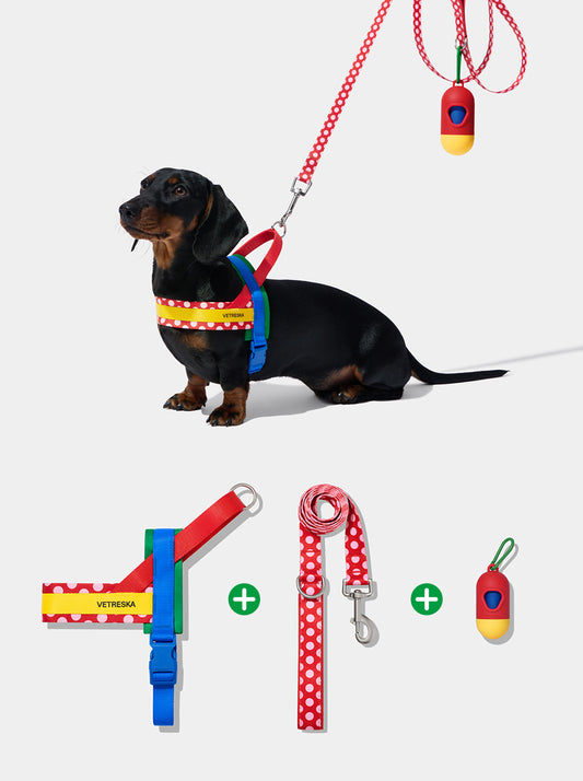 Chroma Pet Walk Kit (Harness, Leash & Poop Bag Dispenser)