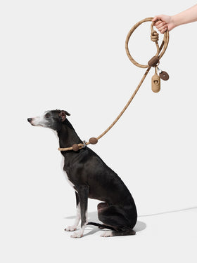 Connect 3 in 1 Walk Kit - Coffee (Hands-Free Rope Leash, Hands-Free Poop Bag Clip, Dipsenser & Poop Bags)
