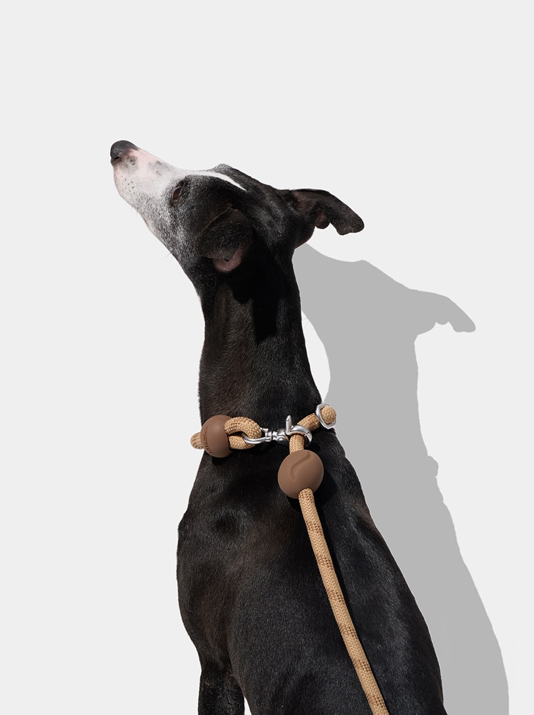 Connect Hands-Free Rope Leash For Pets - Coffee