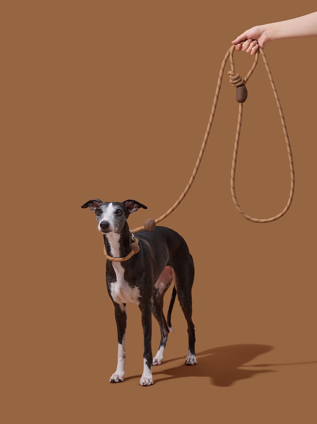 Connect Hands-Free Rope Leash For Pets - Coffee