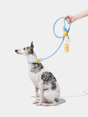 Connect 3 in 1 Walk Kit - Daisy (Hands-Free Rope Leash, Hands-Free Poop Bag Clip, Dipsenser & Poop Bags)