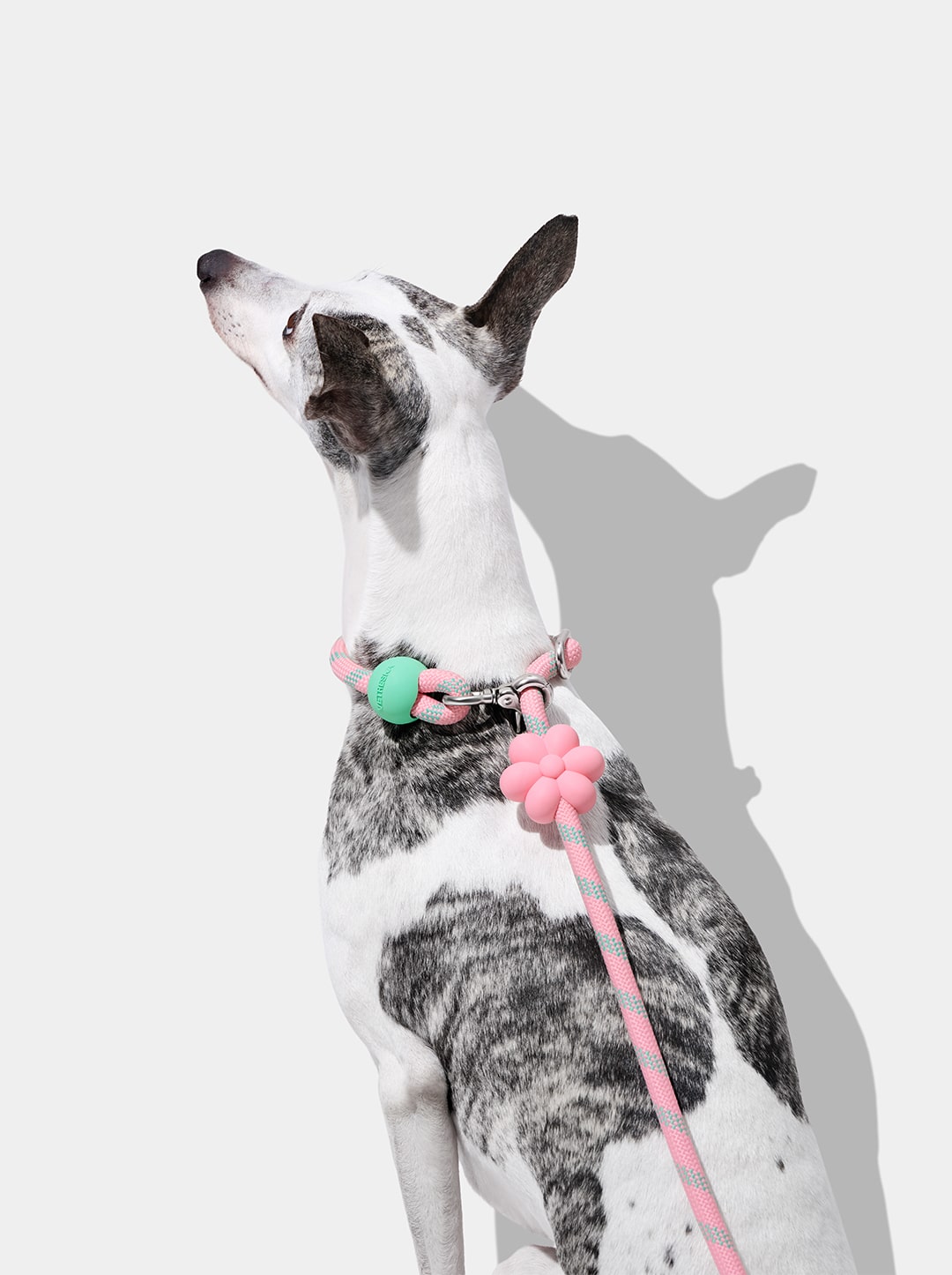 Connect 3 in 1 Walk Kit - Flora (Hands-Free Rope Leash, Hands-Free Poop Bag Clip, Dipsenser & Poop Bags)