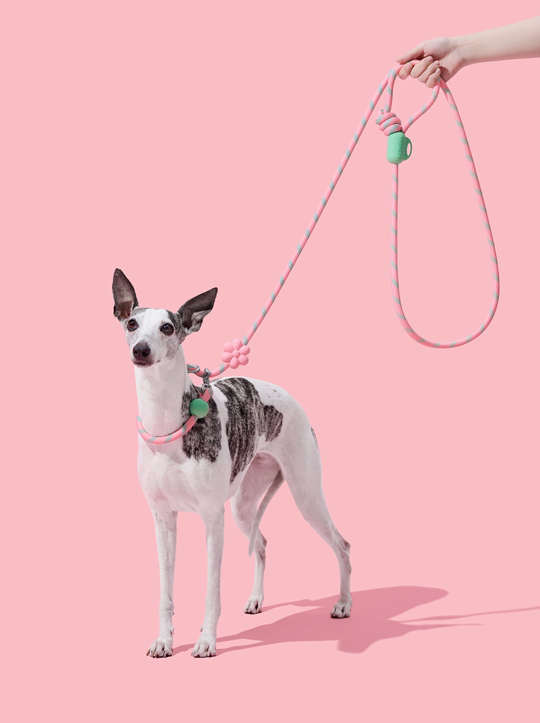 Connect Hands-Free Rope Leash For Pets - Flora