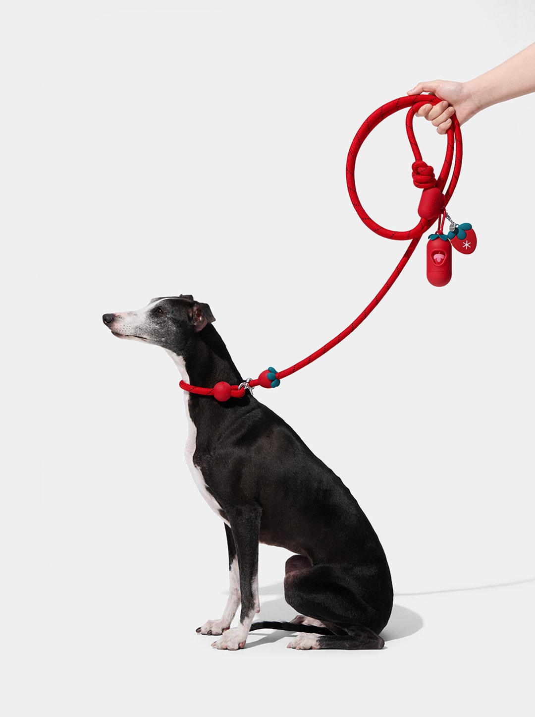 Connect 3 in 1 Walk Kit - Strawberry (Hands-Free Rope Leash, Hands-Free Poop Bag Clip, Dipsenser & Poop Bags)