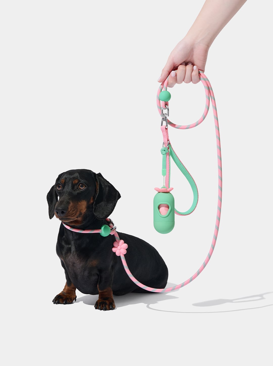 Connect Lite Rope Leash - Flora