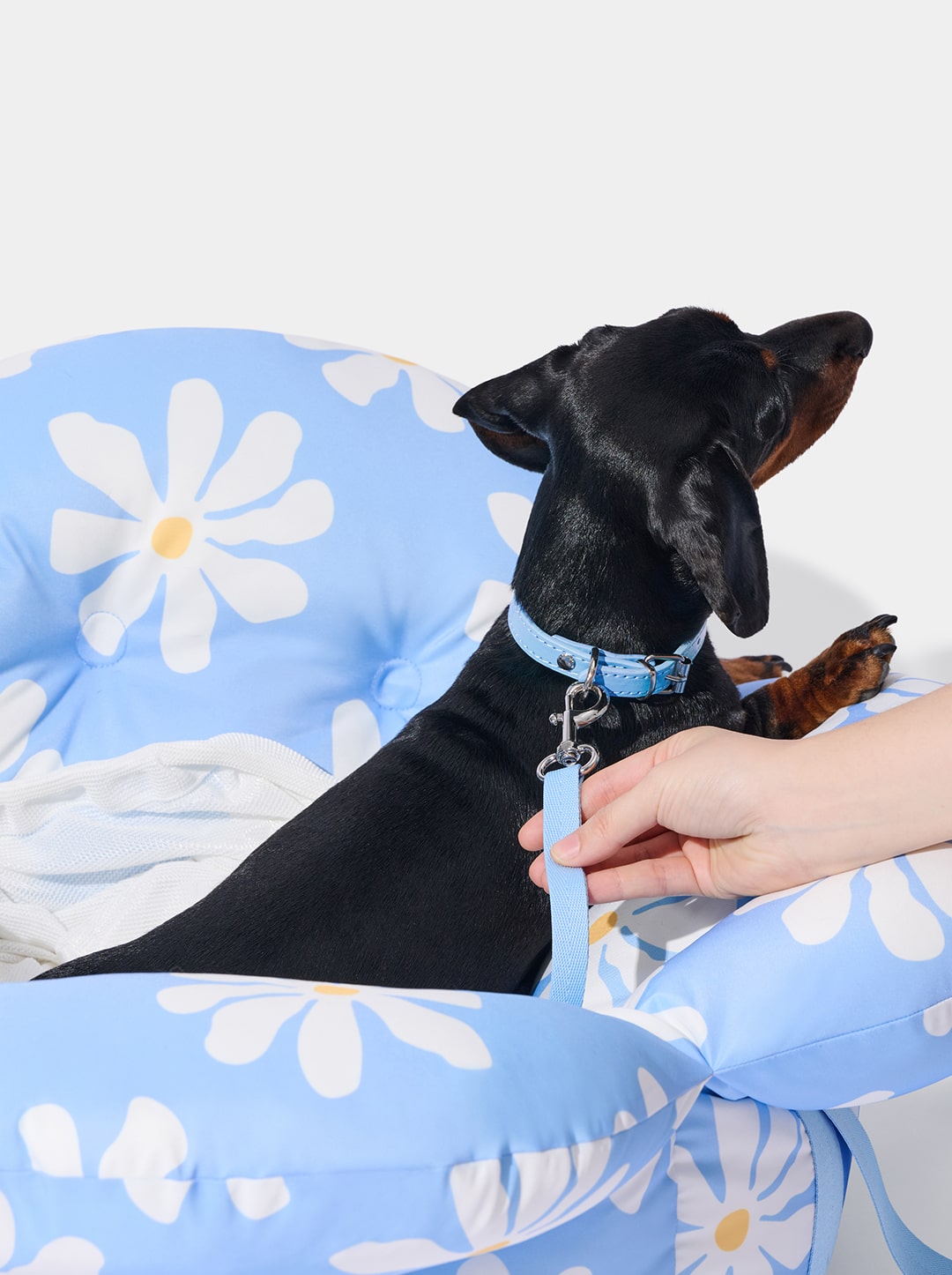 VETRESKA DAISY CAR SEAT PET CARRIER