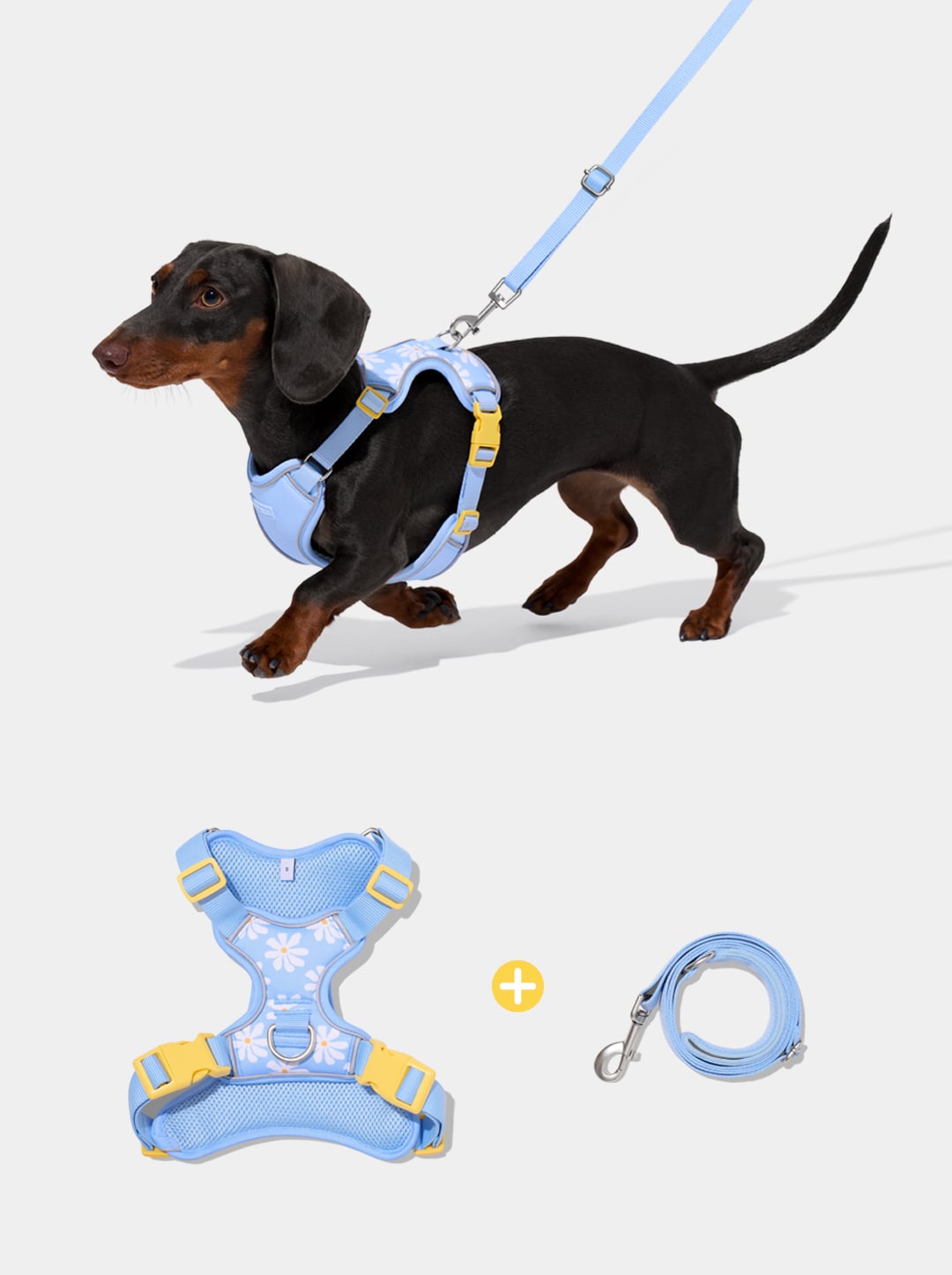 Daisy Pet Harness & Leash Set
