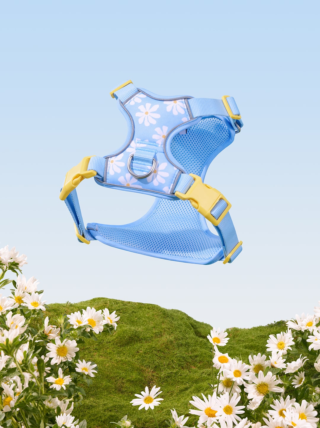 Daisy Pet Harness & Leash Set