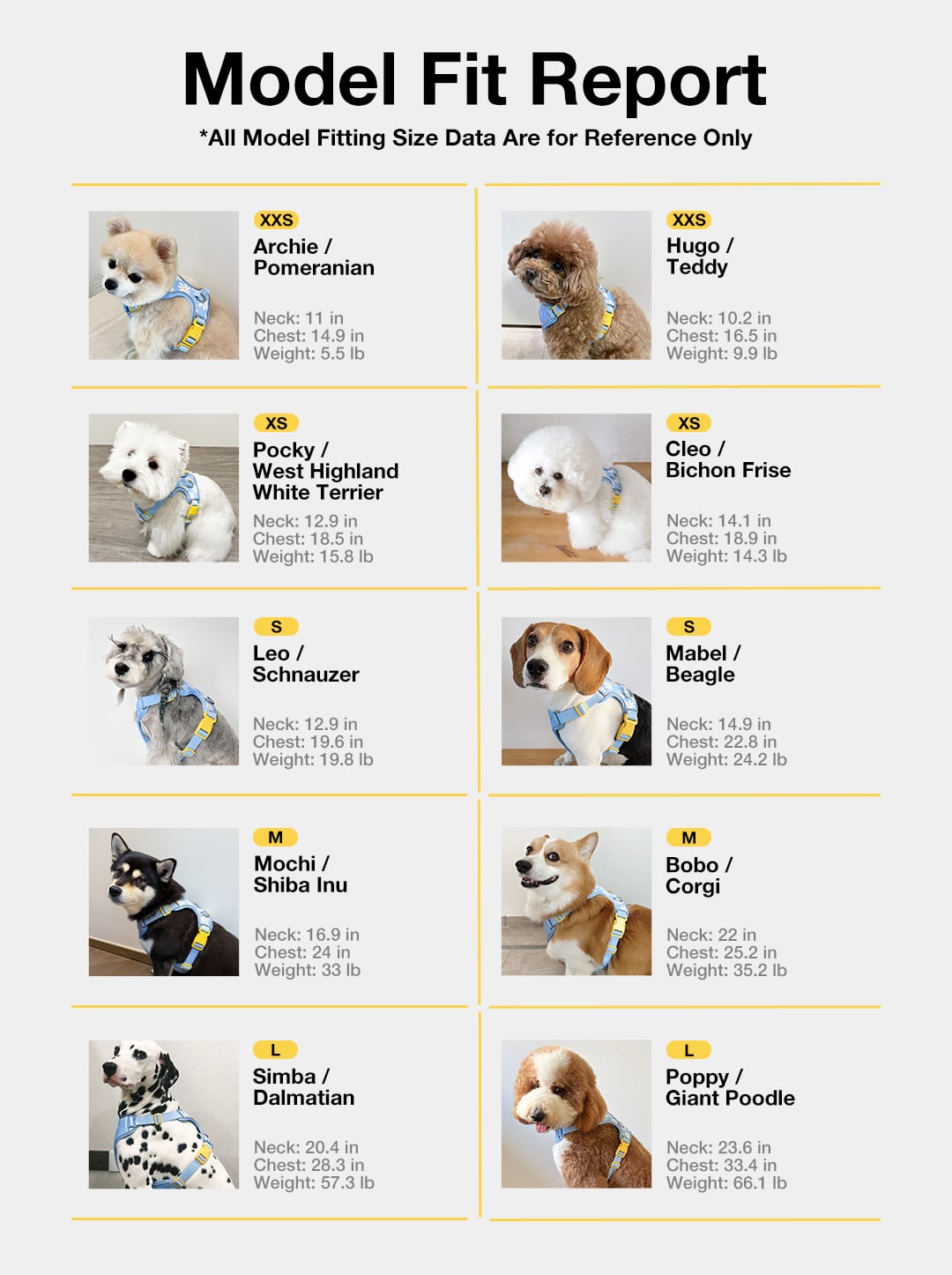 Daisy Pet Harness & Leash Set