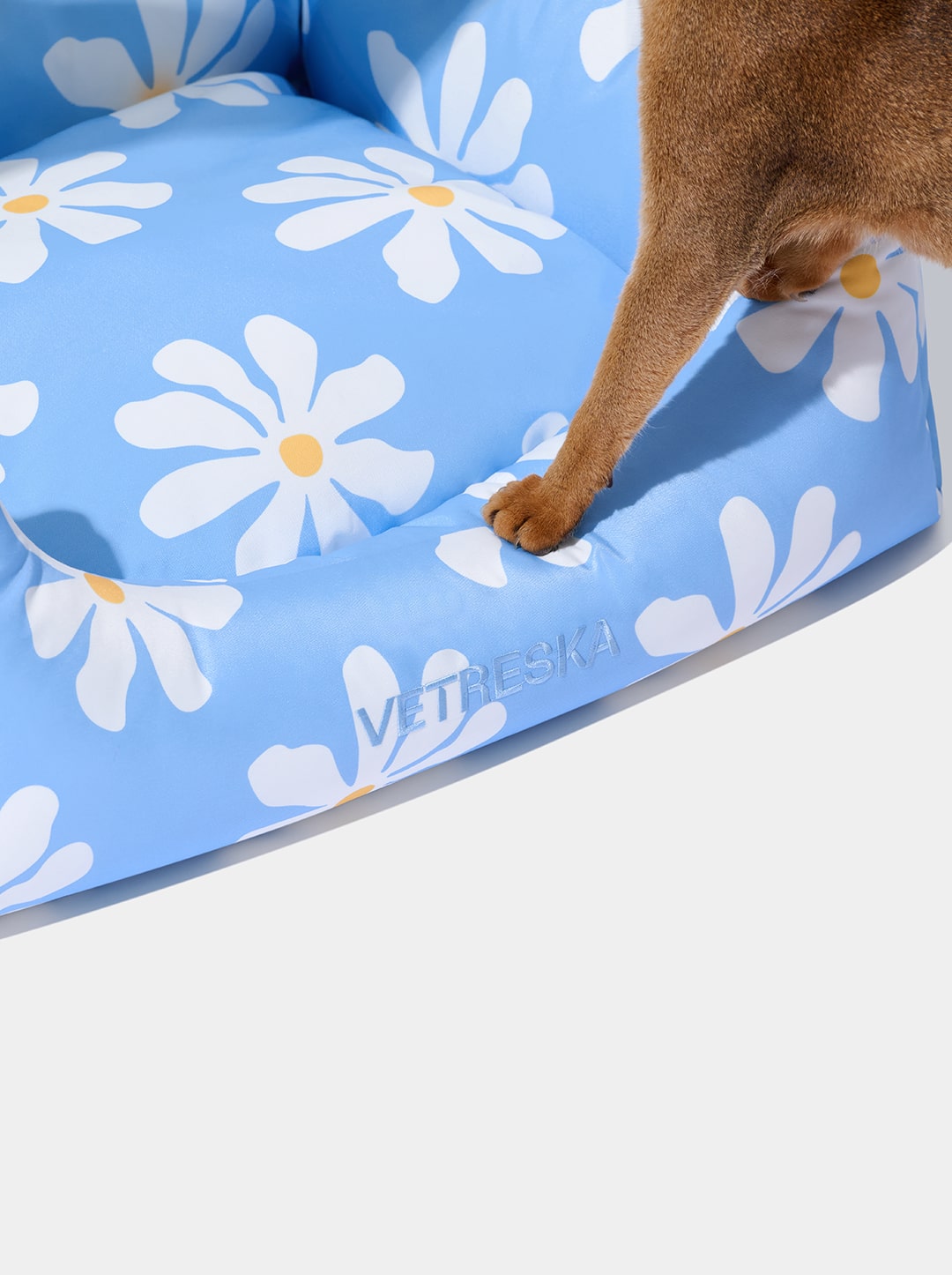 Daisy Pet Sofa