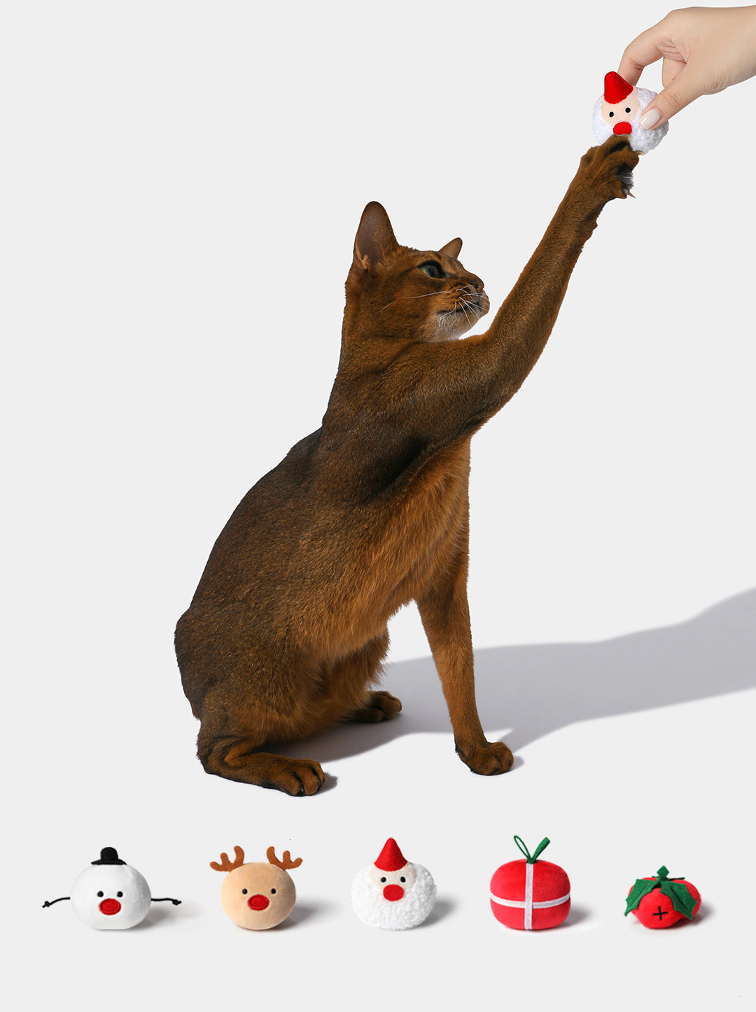 Festive Fluff-Nip Play Set