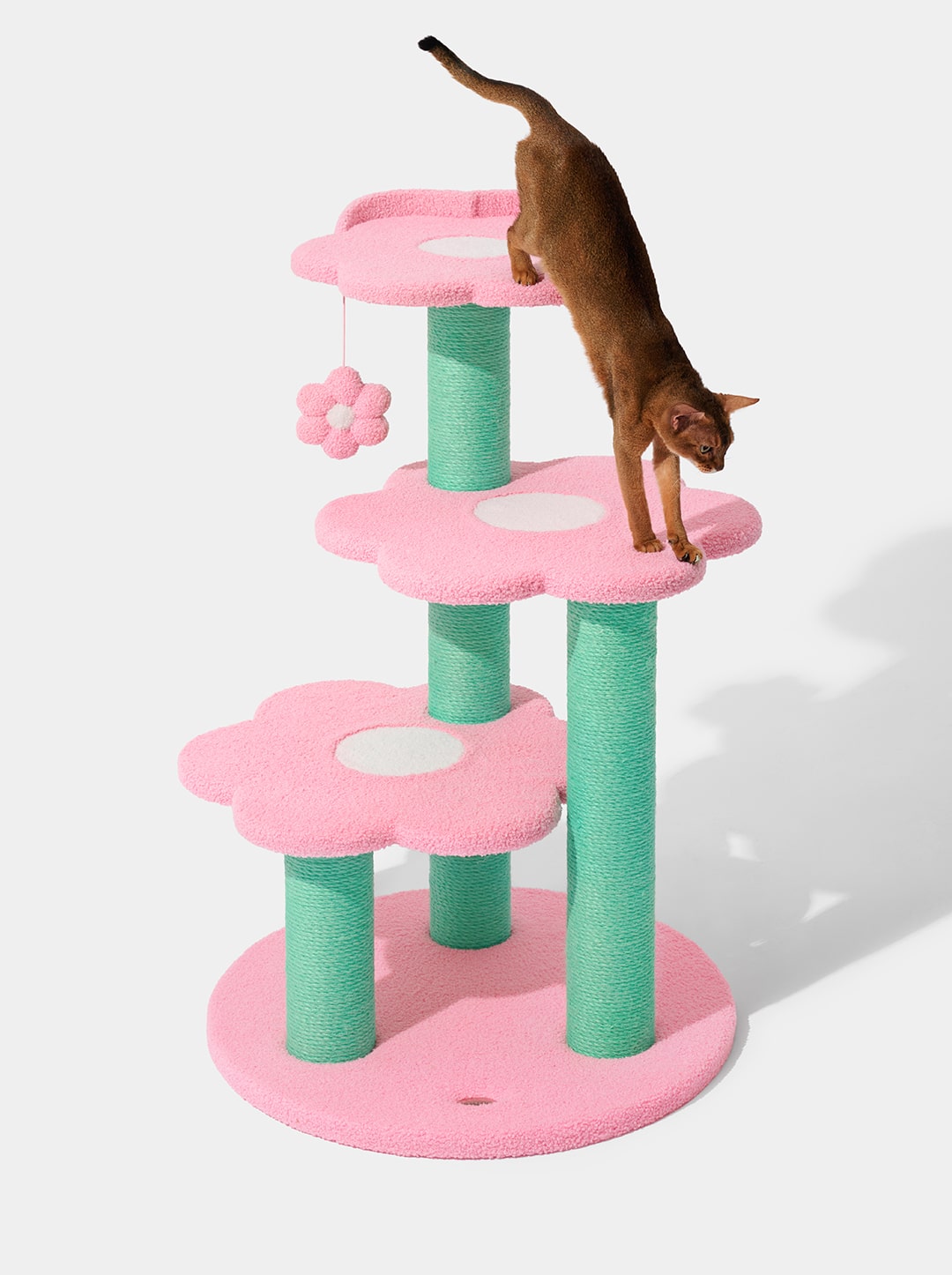 Flora Cat Climber