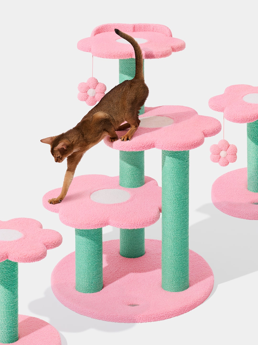 Flora Cat Climber