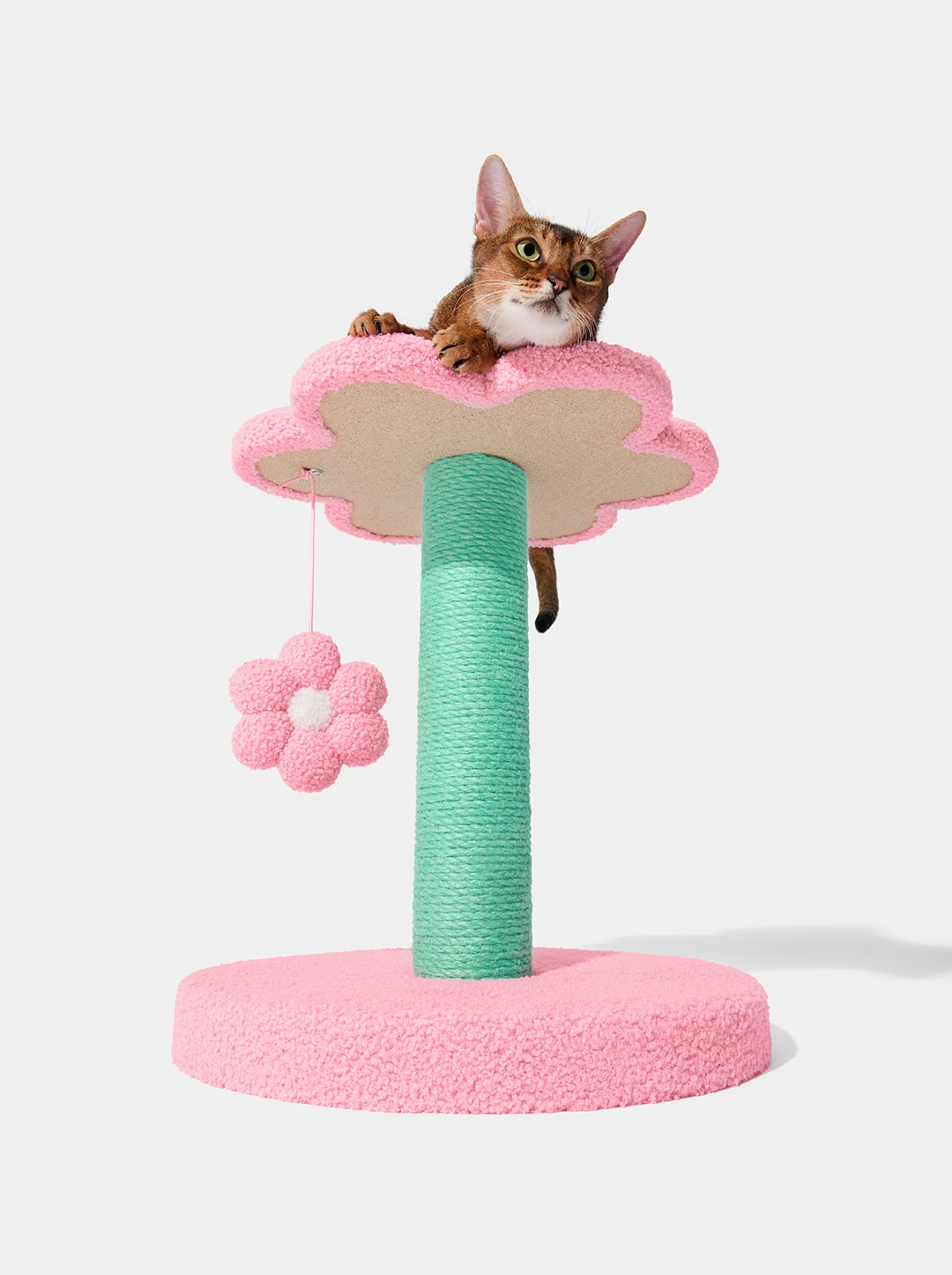 Flora Cat Climber