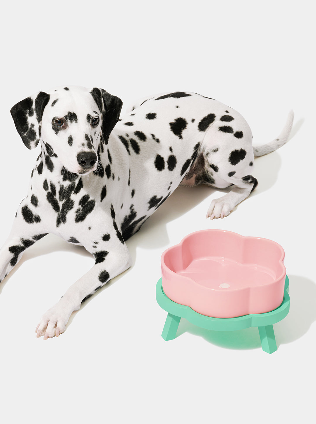 Flora Ceramic Pet Bowl