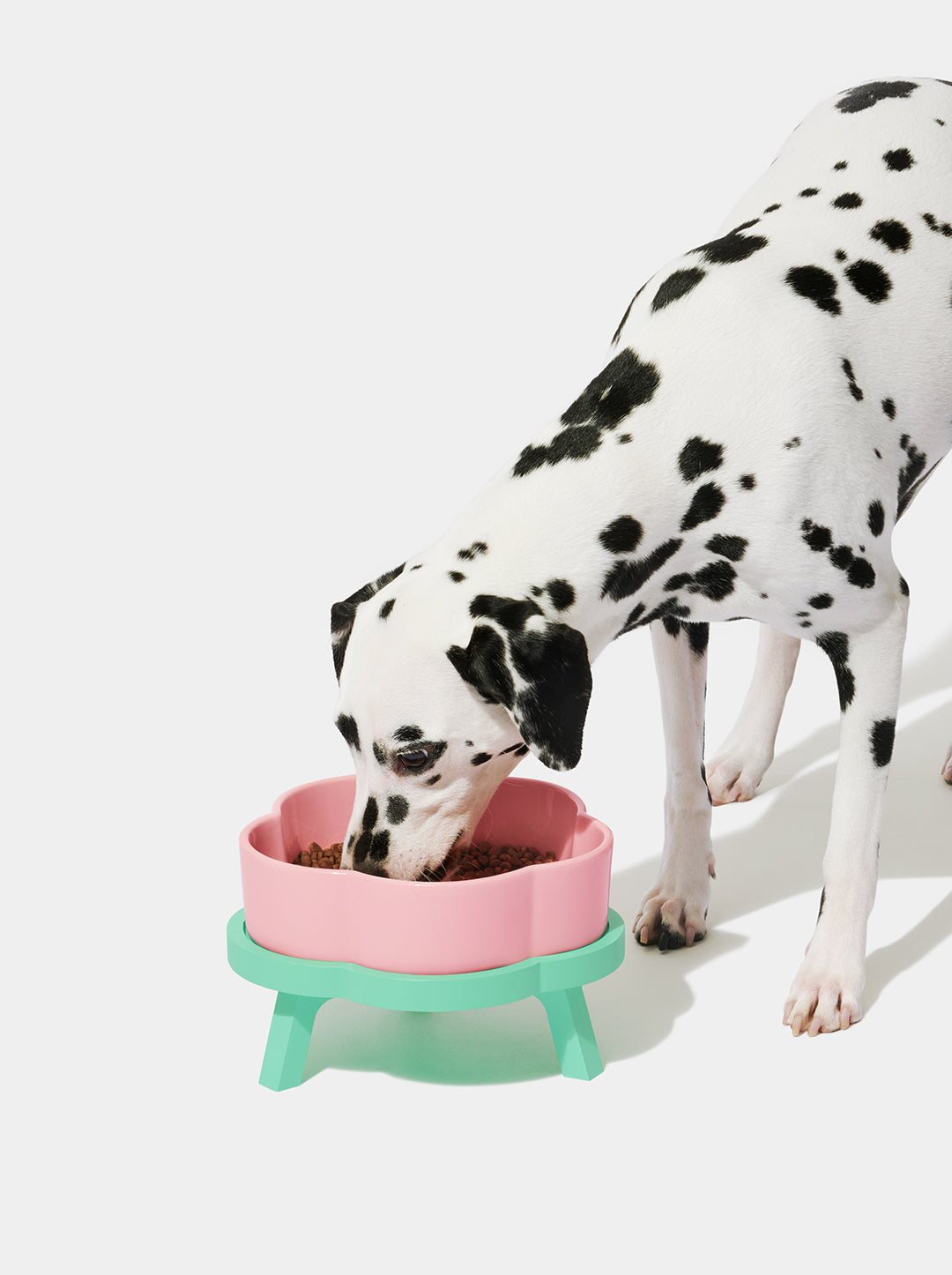 Flora Ceramic Pet Bowl