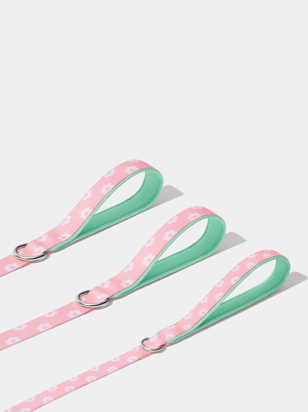 Flora Pet Walk Kit