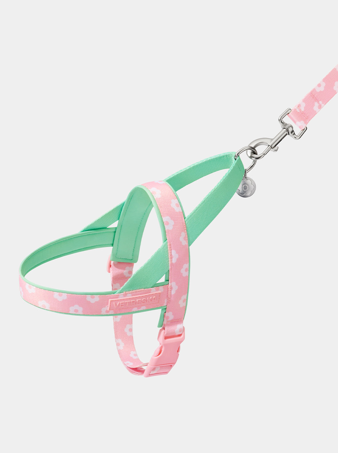 Flora Pet Walk Kit