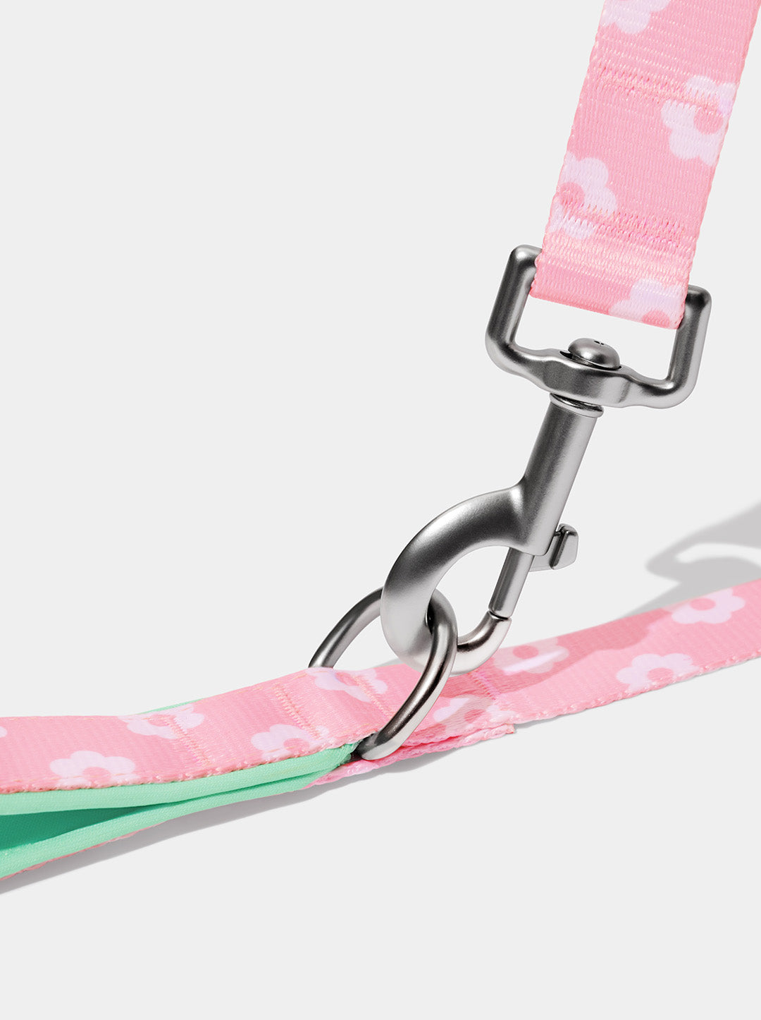 Flora Pet Walk Kit