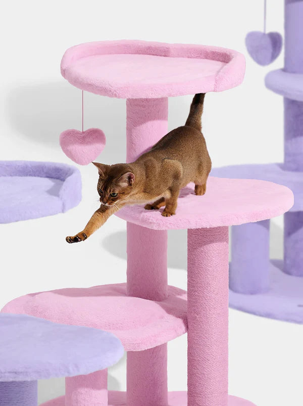 Heartpurrink & Heartpurrple Cat Climber Combo