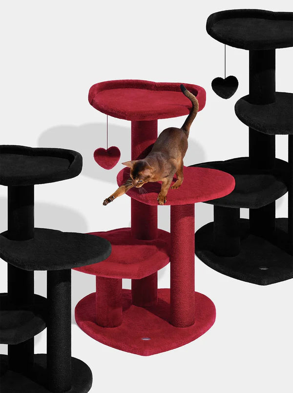 Heartpurrouge & Heartpurrnoir Cat Climber Combo