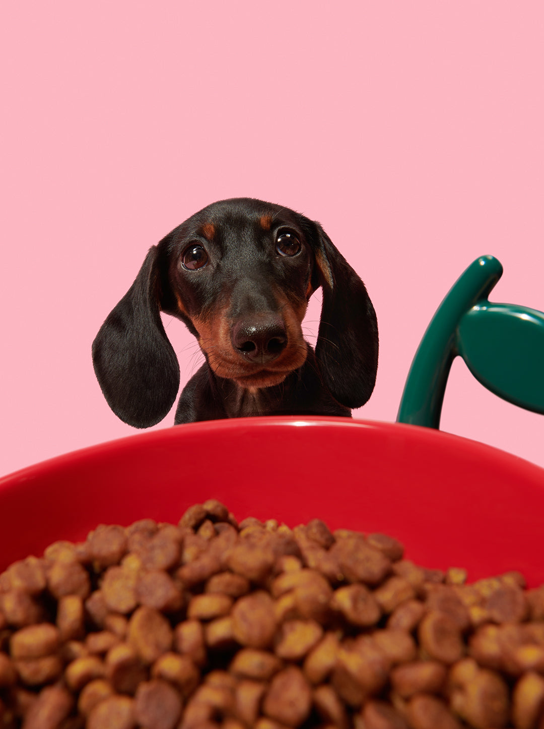 Juicy Cherry Pet Bowl, Spoon & Mat Set