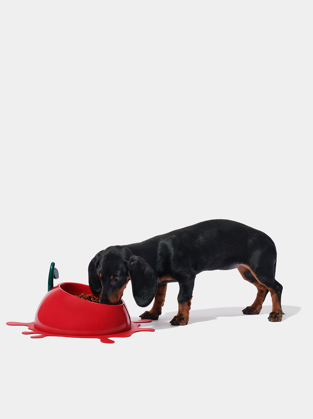 Juicy Cherry Pet Bowl, Spoon & Mat Set