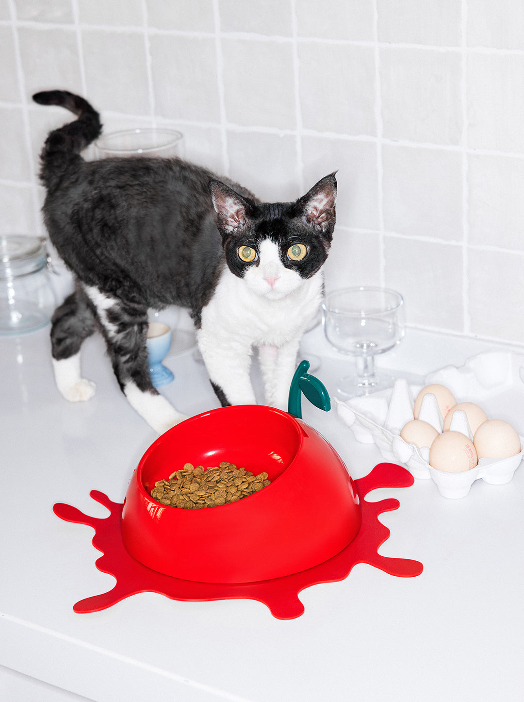 Juicy Cherry Pet Bowl, Spoon & Mat Set