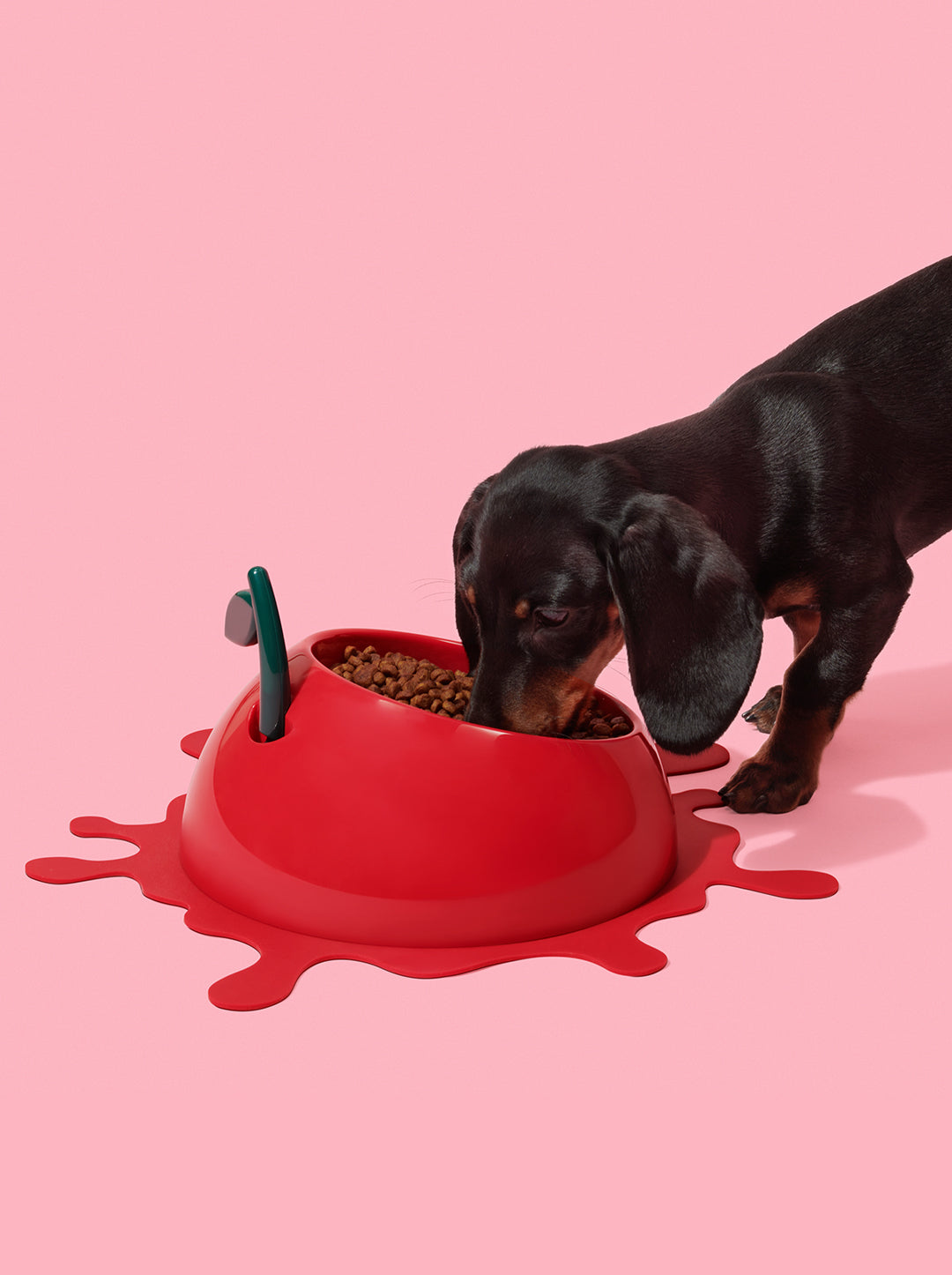 Juicy Cherry Pet Bowl, Spoon & Mat Set