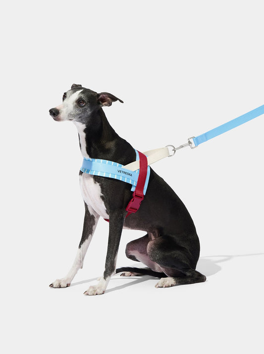Mist & Merlot Pet Harness & Leash Set